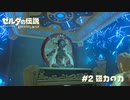 【実況】磁力の力ってスゲー！【ゼルダの伝説BotW】 #2