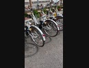 スタバ前に、レンタル自転車だけど、あまり、使われてるの見たことないなぁ‼️