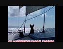 今、永遠であること９　Hear_the_Noise　John Deley and the 41 Players