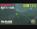 【寄り道ばかりの】ゼルダの伝説BotW【実況プレイ記録123】北西の果て