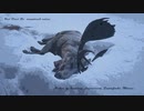 Red Dead Redemption 2 レッド・デッド・リデンプション 2　オンライン　伝説のスノーフレークヘラジカハンティング動画