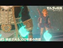 【実況】明かされる100年前の物語【ゼルダの伝説BotW】 #5