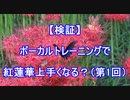 【『紅蓮華』成長日記Part1】ボーカルトレーニングを受けて歌い方は変わるのか？（レッスン1回目）