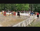 2020 Retired Racehorse Cup・引退競走馬　ラスベガステソーロ