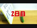 【きゅうりはバナナになれるのか】
