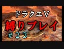 【アルカリ性】26周目だし、縛りプレイで楽しもう！【ドラクエ5シーズン1 Part23】