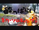【ゆっくり実況】酔いどれゆっくりのキャンプ動画day1(ニコ動用)