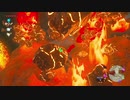 仕事辞めたので勇者になる_#20【ゼルダの伝説BotW】