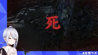 葉加瀬の死んだら即終了SEKIRO １週間まとめ