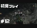 【解説実況】誰でも攻略出来るだけ解説する#12【Darksouls 2】
