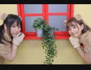 【ビブリオテカ】ようこそジャパリパークへ【踊ってみた】定点ver.