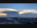 202010041750【WHITE ONLY FOREVER】