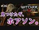 【実況】ダークファンタスティックウィッチャー Part26