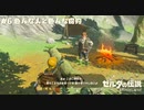 【実況】念願のパラセール！いざ、新天地へ【ゼルダの伝説BotW】 #6
