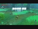 ゼルダの伝説ブレスオブザワイルドマスターモードを実況プレイ(2020年8月28日放送)5／5