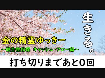【さよなら】金の精霊ゆっきー⑤　～有価証券報告書の読み方【キャッシュ・フロー編】～