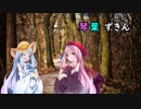 琴葉ずきん