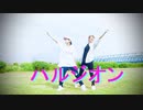 【あめ子】ハルジオン 踊ってみた【知聡】
