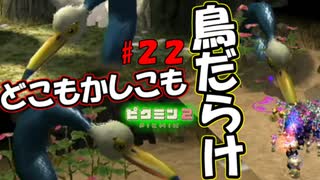 【ピクミン2】蛇！鳥！カラス！【実況プレイ】２２日目