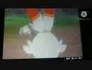 【ポケモン剣盾】ヒバニー、ラビフット、エースバーンのキレる顔