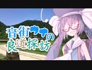 音街ウナの良道探訪 「さざなみ街道！」
