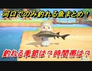あつまれどうぶつの森　河口でのみ釣れる魚まとめ！季節は？時間帯は？　魚図鑑コンプへの道！釣り攻略。　【あつ森】