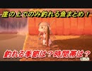 あつまれどうぶつの森　崖の上でのみ釣れる魚まとめ！季節は？時間帯は？　魚図鑑コンプへの道！釣り攻略。　【あつ森】
