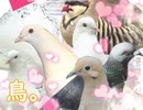 【ゲーム実況】はーとふる彼氏【#1】
