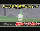 ポケモン剣盾　チュリネを捕まえる方法！オススメの場所は？天気は？ポケモン図鑑コンプへの道！　【ポケモンソード・シールド】