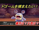ポケモン剣盾　ドゴームを捕まえる方法！オススメの場所は？天気は？ポケモン図鑑コンプへの道！　【ポケモンソード・シールド】