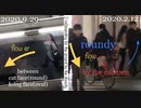 Memo: _φ(･_･;) ... ''Nishikasai sta.'' (2019.2.12) - 3 The Melaninoid Constructers