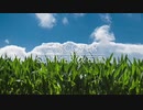 三線だけでSummer弾いてみた
