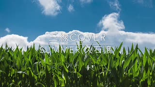 三線だけでSummer弾いてみた