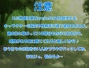 全てを失った付喪神が幻想入り　第八張(前編)