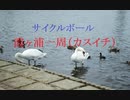 【7つの１周を集めよ】自転車で霞ヶ浦一周（カスイチ） #サイクルボール