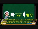 【ゆっくり解説】なぜお酒を飲んだ後は、ラーメンが食べたくなるのか？科学的理由　太らないためには？？