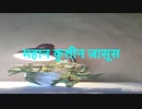महान कुलीन जासूस