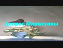 Допрос Mарихуаны