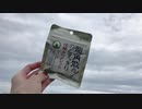 スッキリしない空でもスカッとする!!avssタブレット⑅︎◡̈︎*