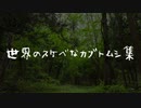 世界のスケベカブトムシ大全