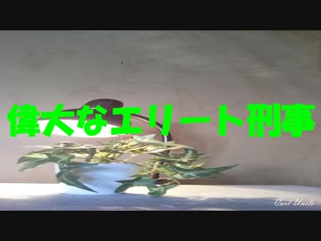 偉大なエリート刑事
