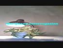 Marijuana Interrogation