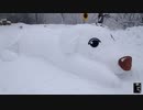 【イェジュユース】大きな雪犬を作って蒸しマトンを一杯食べる グルメ李子柒 ペット滇西小哥 後付け   ペット pet 犬 dogネコ Cat 改造 Funnyおかしい可愛美しいlovely