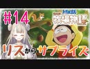 #14【ドラえもん のび太の牧場物語】リスさんからの大判振る舞い！【女性実況】