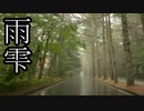 【ノスタルジックBGM】雨の日に聴きたくなる哀愁の音楽・癒し効果【作業用BGM】