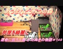 【あつ森】前人未島へようこそ！#149【あつまれどうぶつの森】