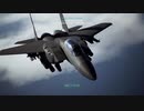 ミサイルが撃てないエースコンバット7実況 Part13 Mission11: Fleet Destruction (敵主力艦隊殲滅)