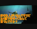 好きな人がいるんですけどカメ語で好きってなんていうんですか？【タートルトーク】東京ディズニーシー
