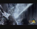 【実況】アグナボコる亜種【MH3G.HDver】