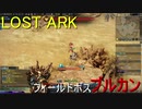 LOST ARK　フィールドボス ブルカン